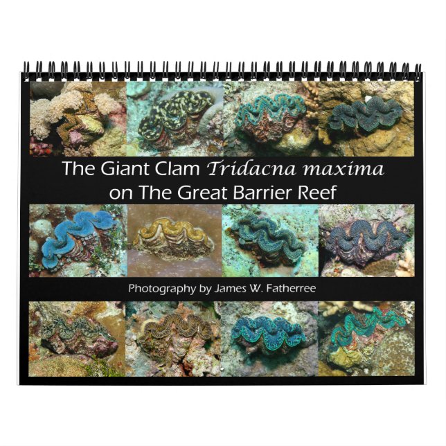 Giant Clam Tridacna maxima av J.W. Faderträdet. Kalender (Omslag)