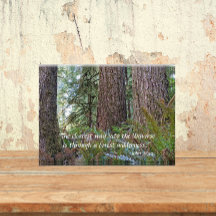 Giant Conifer Forest med John Muir Quote
