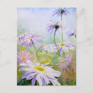 Giant Daisys Vykort