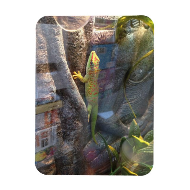Giant Day Gecko Magnet (Vertikal)