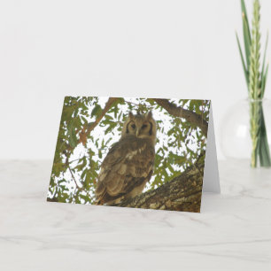 GIANT EGLE UGGLA GREETING CARD KORT