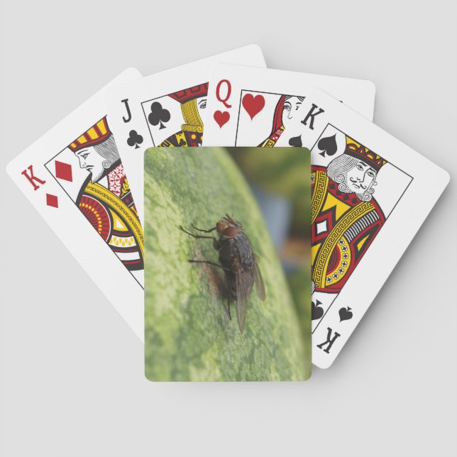 GIANT Fly Deck för uppspelningskort Casinokort (Baksidan)