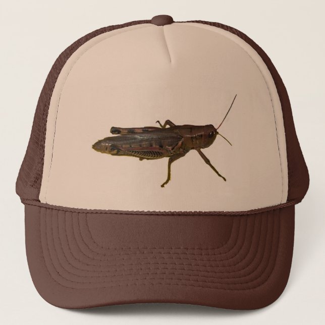 Giant Grashopper Design Keps (Framsida)