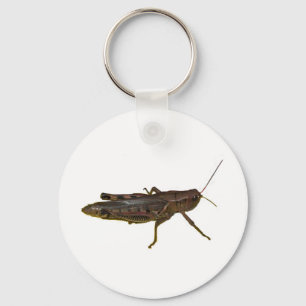 Giant Grashopper Nyckelring