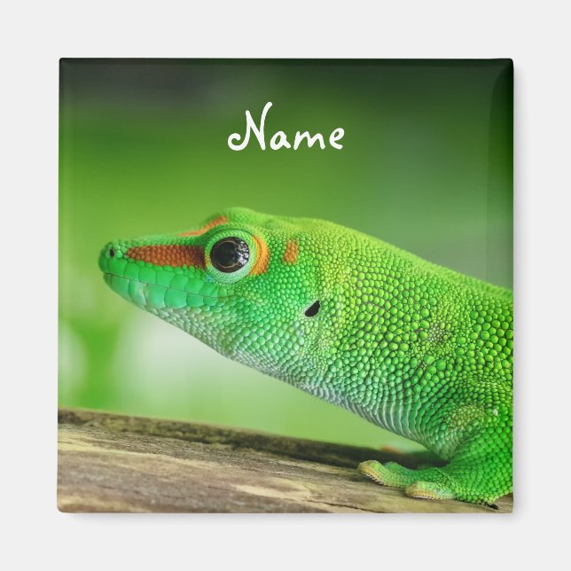 Giant Grönt Day Gecko - Phelsuma grandis Magnet (Framsidan)