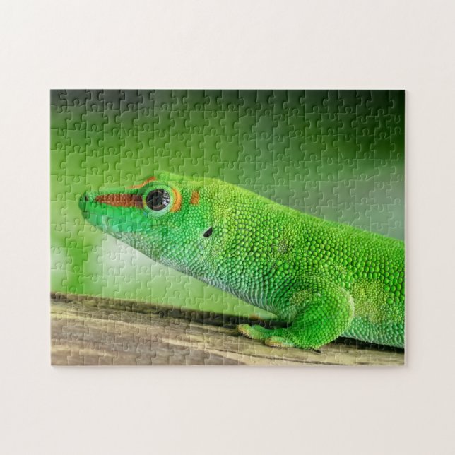 Giant Grönt Day Gecko - Phelsuma grandis Pussel (Horisontell)