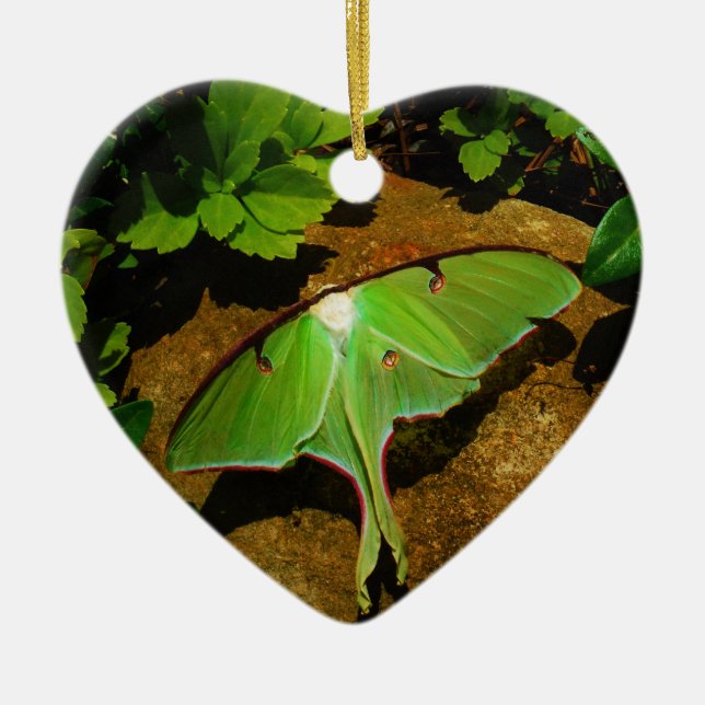 Giant Grönt Luna moth Julgransprydnad Keramik (Framsidan)
