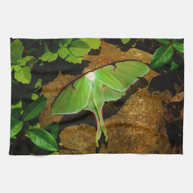 Giant Grönt Luna moth Kökshandduk (Horisontell)