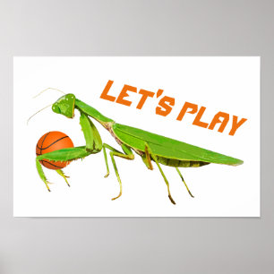Giant Grönt Praying Mantis Basketball Poster