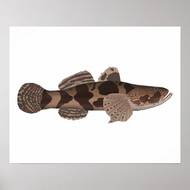 Giant Gudgeon Poster (Framsidan)