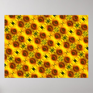 Giant gult Solros mönster Poster