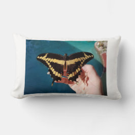 Giant Gult Swallowtail Butterfly Lumbarkudde