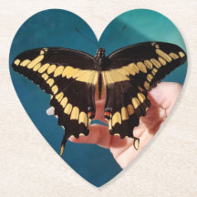 Giant Gult Swallowtail Butterfly