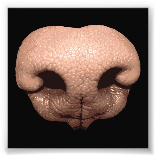 Giant Hund Nose Fototryck (Framsidan)