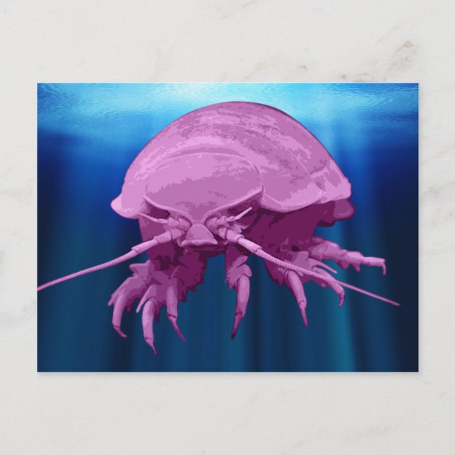 Giant Isopod-vykort Vykort (Framsida)