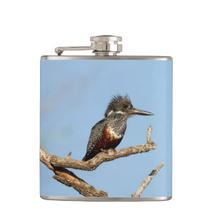 Giant Kingfisher Fickplunta