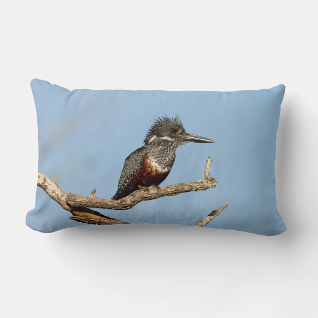 Giant Kingfisher Lumbarkudde (Framsida)