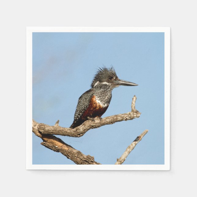 Giant Kingfisher Pappersservett (Framsidan)