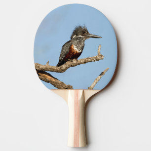 Giant Kingfisher Pingisracket