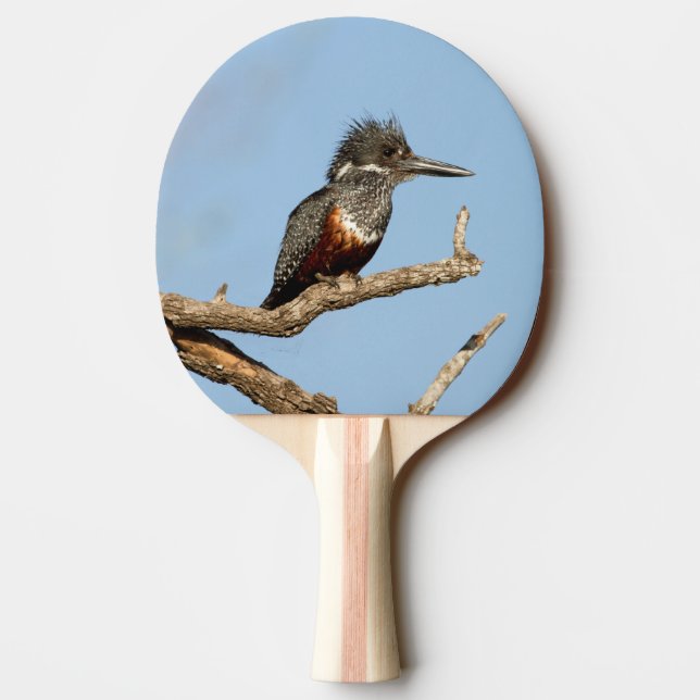 Giant Kingfisher Pingisracket (Baksidan)