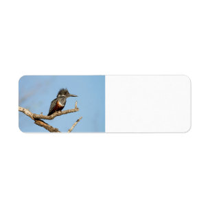 Giant Kingfisher Returadress Etikett