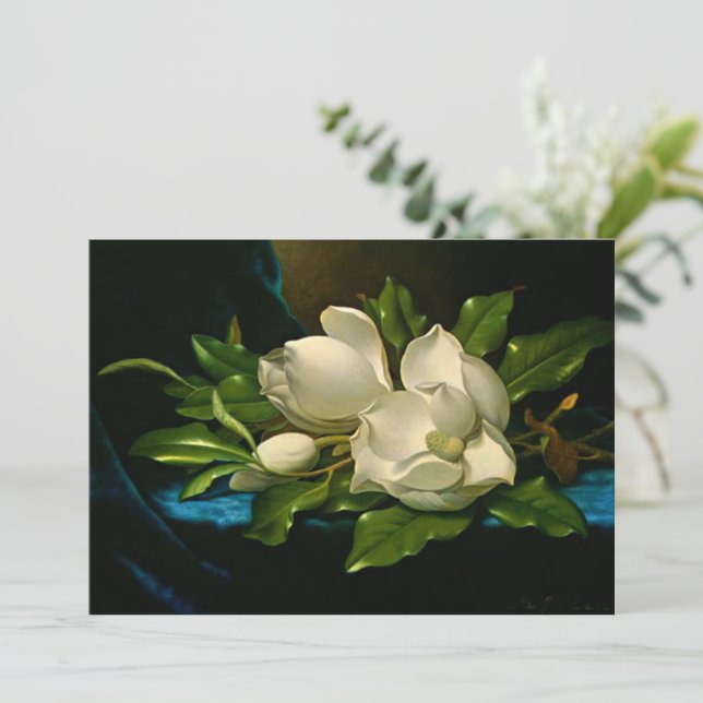 Giant Magnolia på Blue Velvet Trasa Kort (Stående Fram)