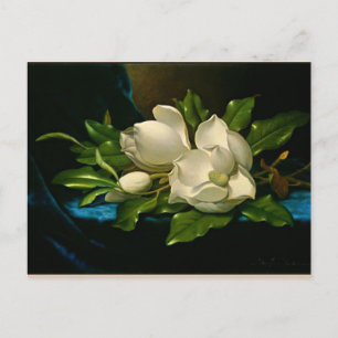 Giant Magnolia på Blue Velvet Trasa Vykort