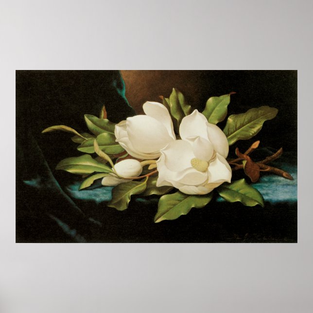 Giant Magnolias on a Blue Velvet Trasa av MJ Heade Poster (Framsidan)