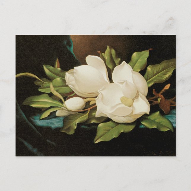 Giant Magnolias on a Blue Velvet Trasa av MJ Heade Vykort (Framsida)