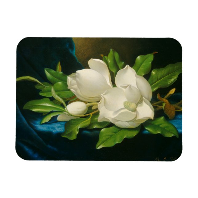 Giant Magnolias on a Blue Velvet Trasa, c.1890 (oi Magnet (Horisontell)