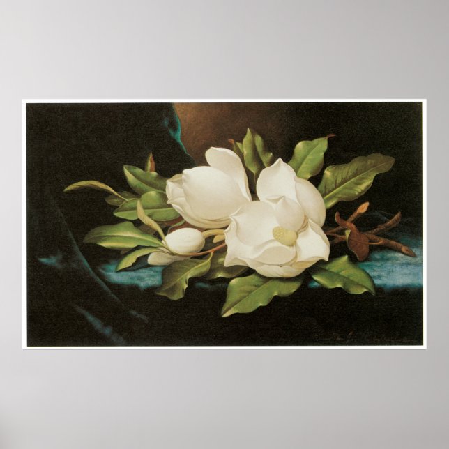 Giant Magnolias on a Blue velvet trasa, c.1890 Poster (Framsidan)
