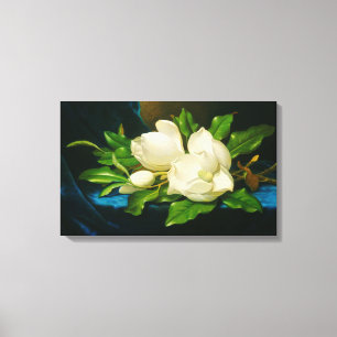 Giant Magnolias on a Blue Velvet Trasa (Heade) Canvastryck