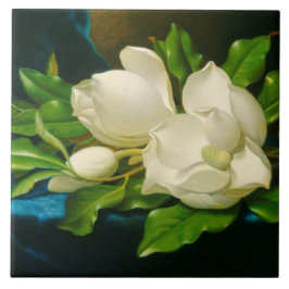 Giant Magnolias on a Blue Velvet Trasa (Heade) Kakelplatta