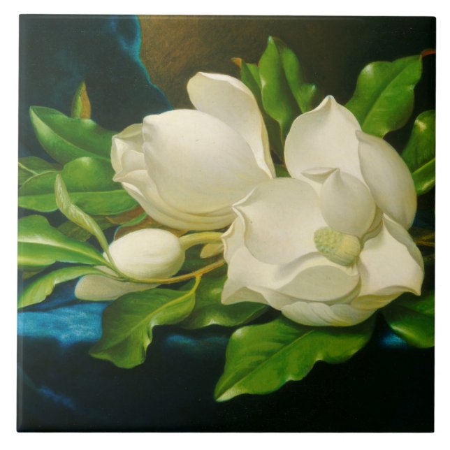 Giant Magnolias on a Blue Velvet Trasa (Heade) Kakelplatta (Framsidan)