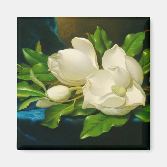 Giant Magnolias on a Blue Velvet Trasa (Heade) Magnet (Framsidan)