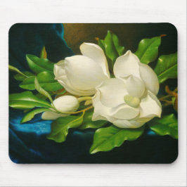 Giant Magnolias on a Blue Velvet Trasa (Heade) Musmatta