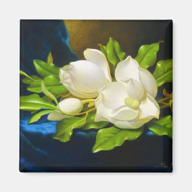 Giant Magnolias på Blue Velvet Canvas Magnet (Framsidan)