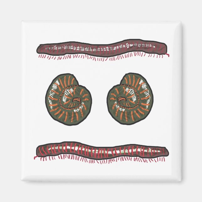 Giant Millipede Magnet (Framsidan)