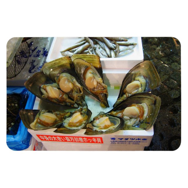 Giant MusselTsukiji Fish Market, Tokyo, Japan Magnet (Horisontell)
