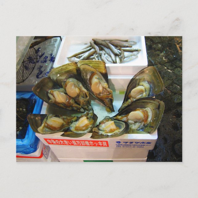 Giant MusselTsukiji Fish Market, Tokyo, Japan Vykort (Framsida)