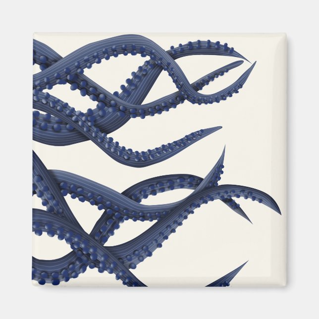 Giant Octopus Tentacles Magnet (Framsidan)