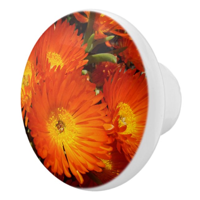 Giant Orange Daisys Knopp (Höger)