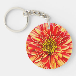 Giant Orange och Golden Gult Aster Flower