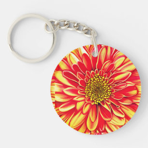 Giant Orange och Golden Gult Aster Flower