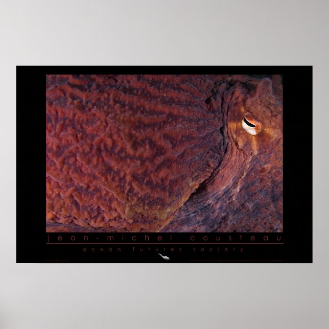 Giant Pacific Octopus Poster (Framsidan)