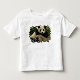 Giant panda baby Ailuropoda melanoleuca) T-shirt