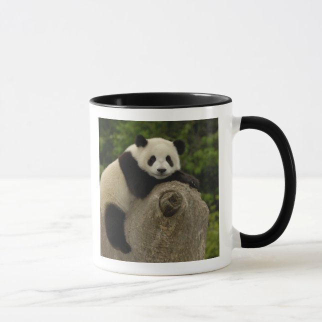 Giant panda baby mugg (Höger)