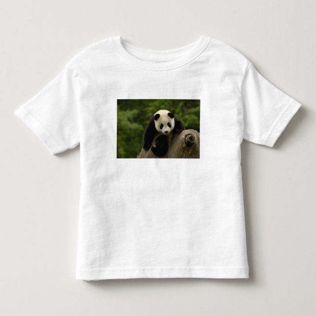 Giant panda baby t-shirt (Framsida)
