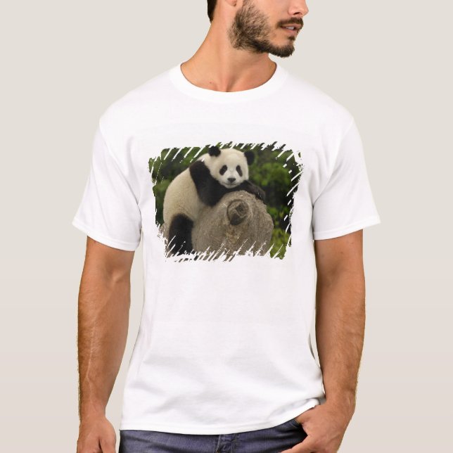 Giant panda baby t-shirt (Framsida)