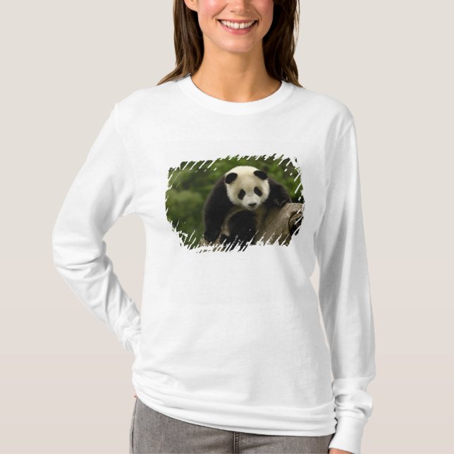 Giant panda baby t-shirt (Framsida)